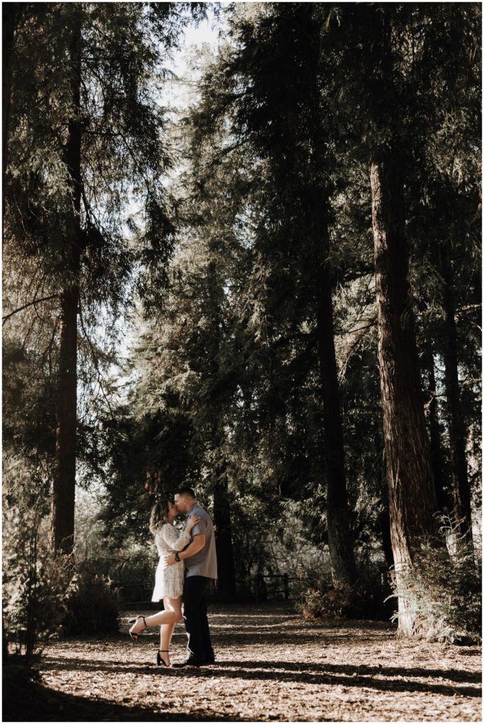 couple kissing under redwoods